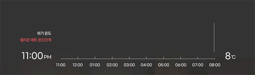 desc_02.gif