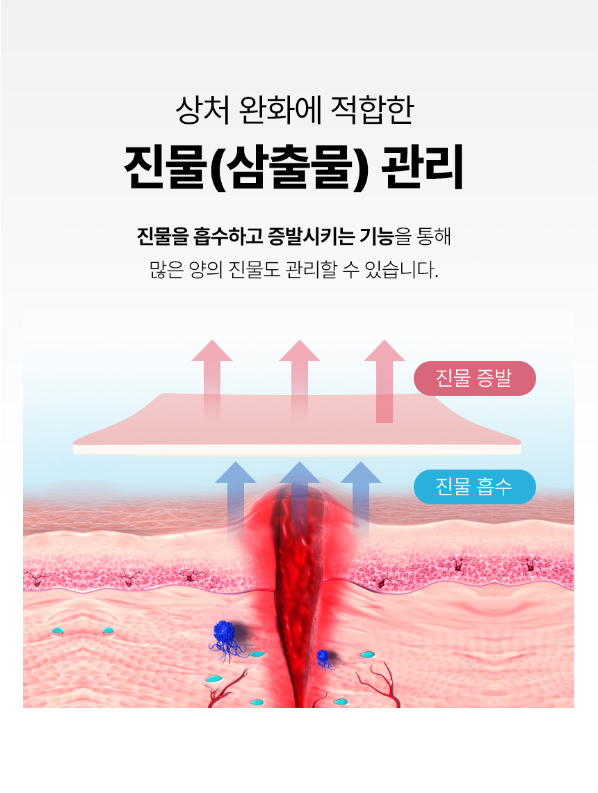 desc_09.jpg