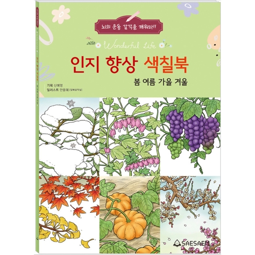 인지 향상 색칠북 1 (4종 세트)