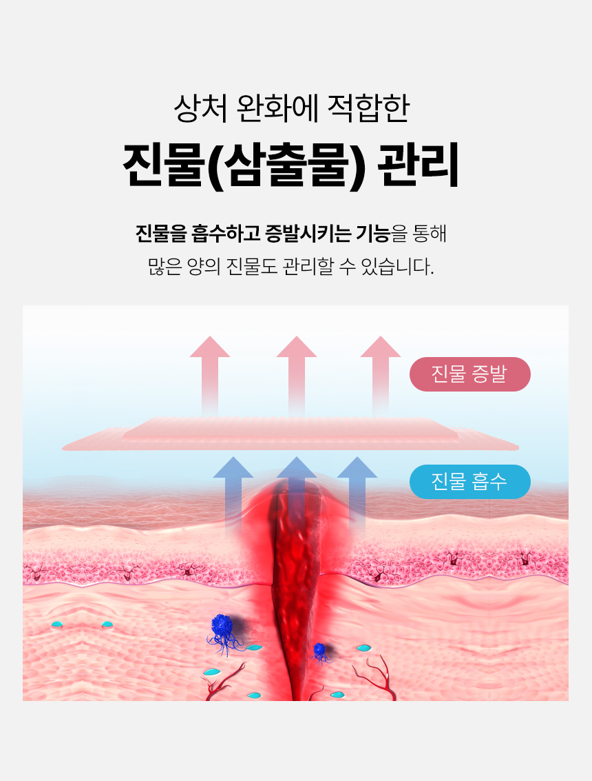 desc_08.jpg