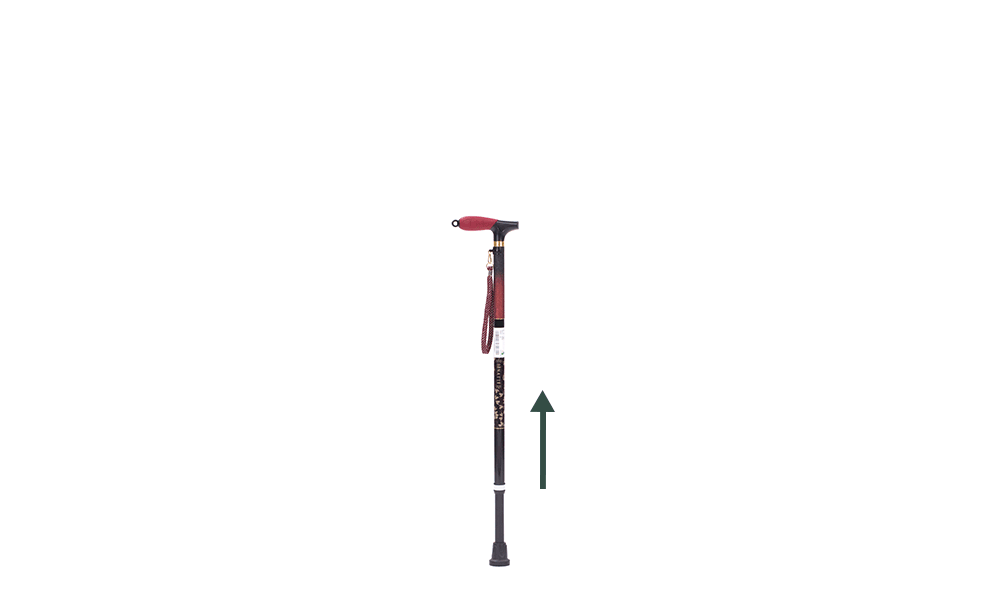 desc_02.gif