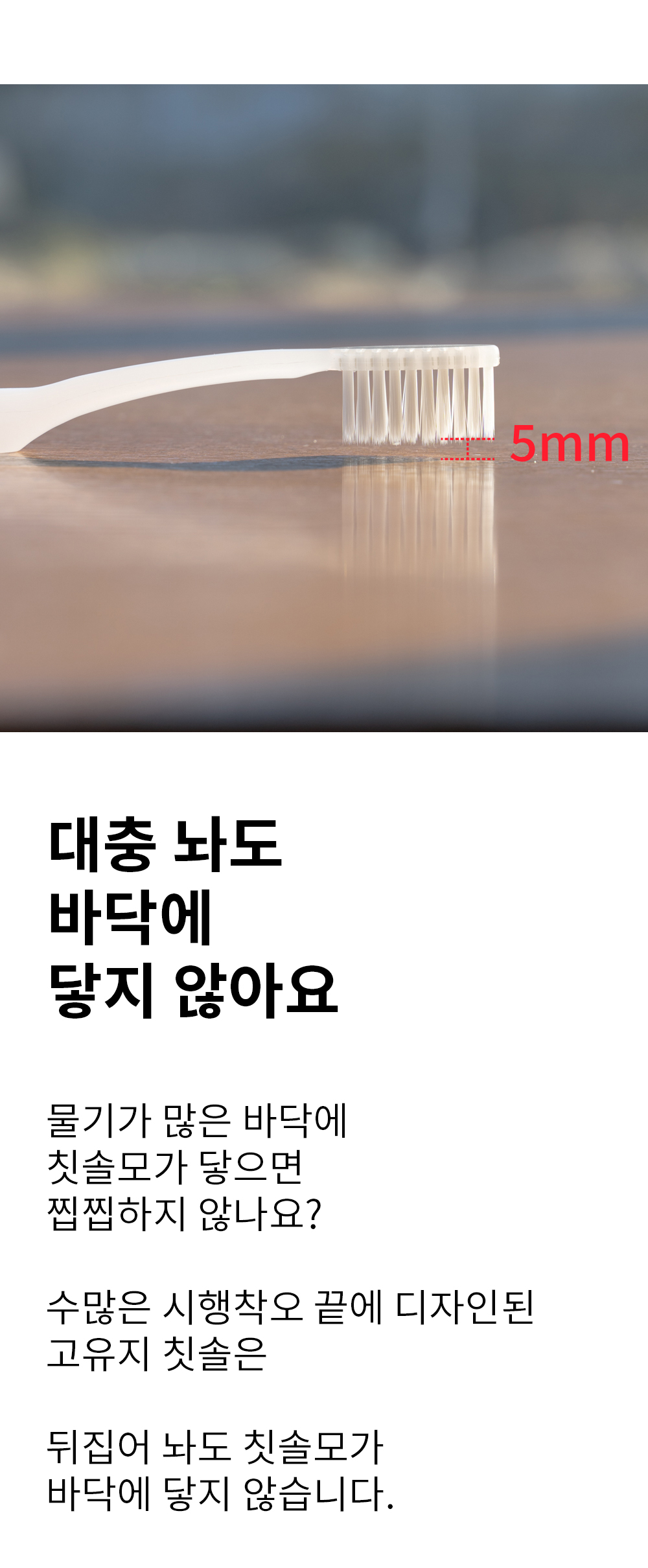 desc_11.jpg
