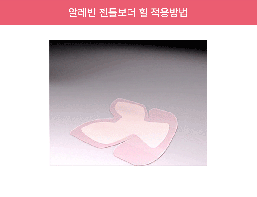desc_10.gif