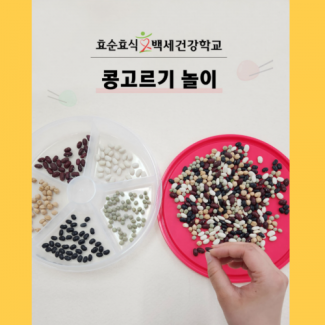 콩 고르기 놀이 (대/중/소)