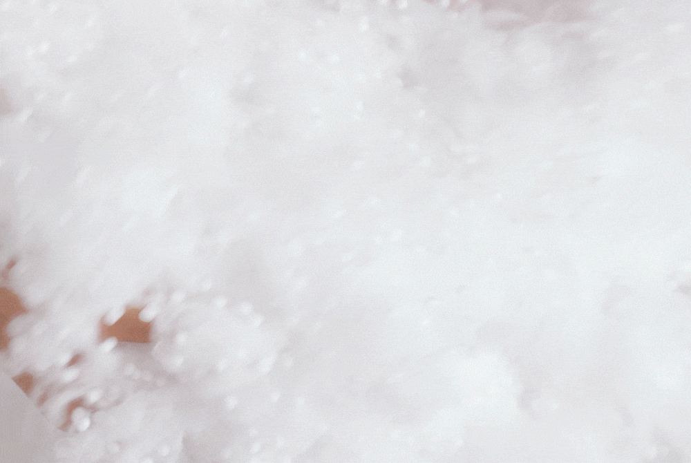 desc_21.gif