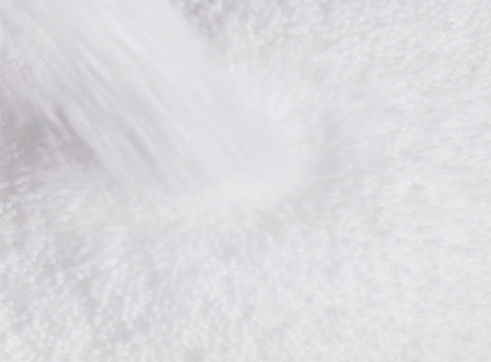 desc_47.gif