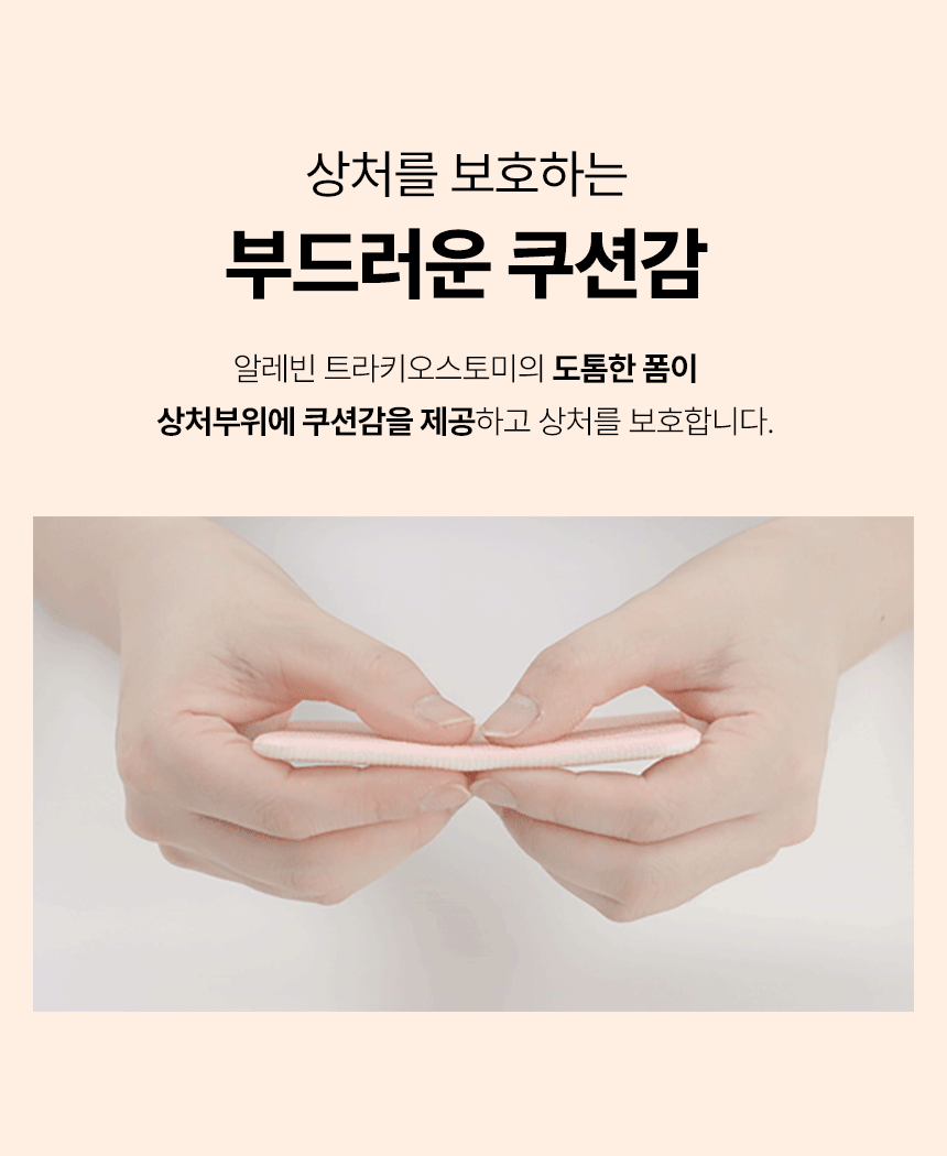 desc_09.gif